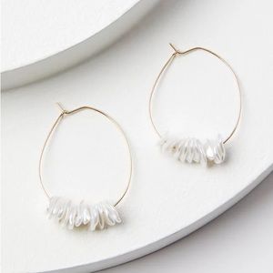NWT Loft Freshwater Pearl Teardrop Hoop Earrings